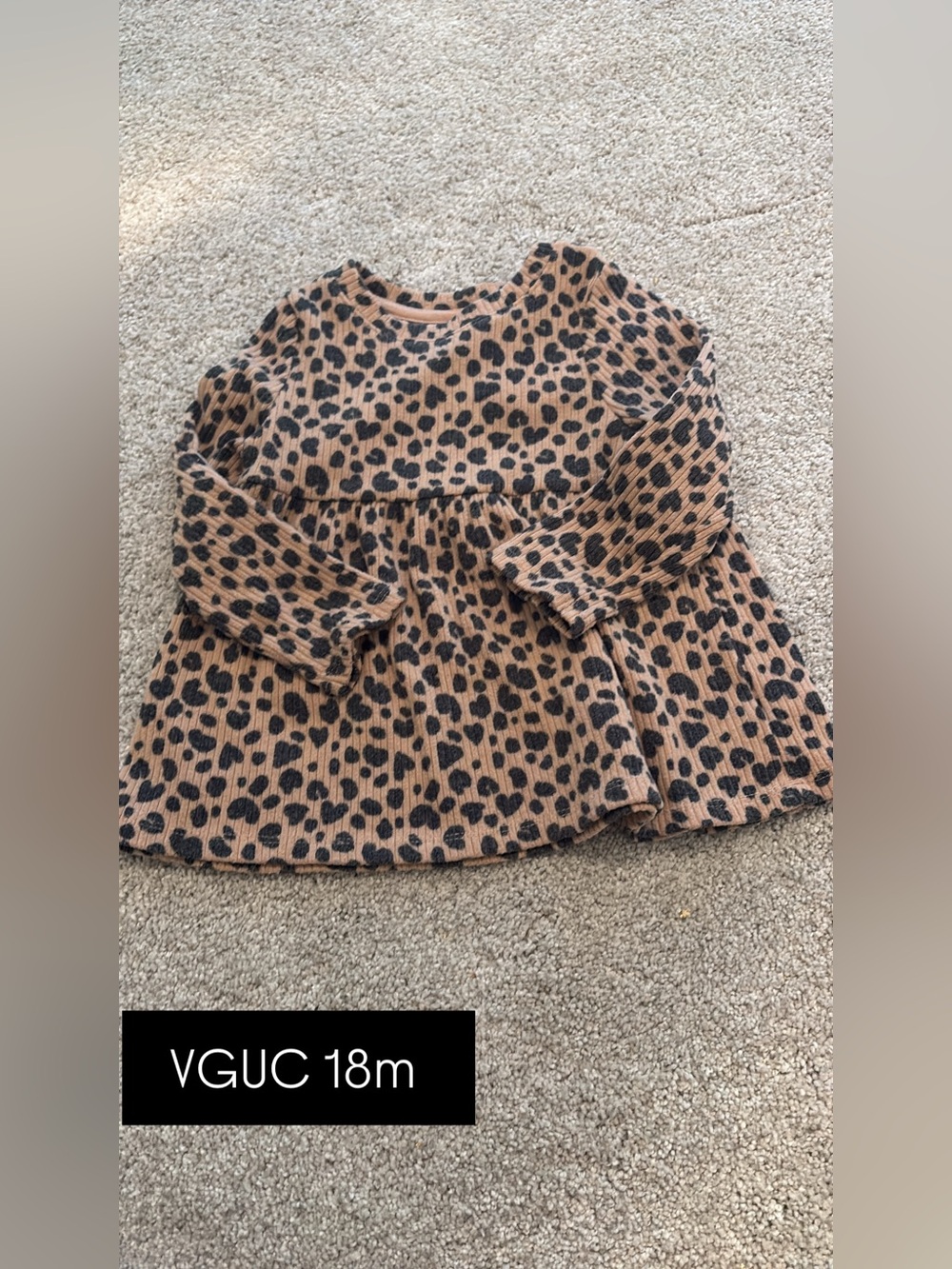 Cheetah LS Shirt